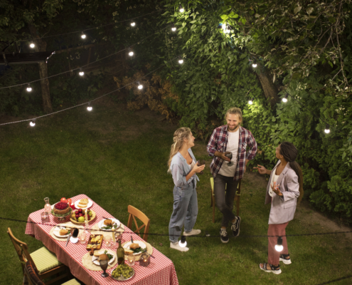 high-angle-people-partying-nature